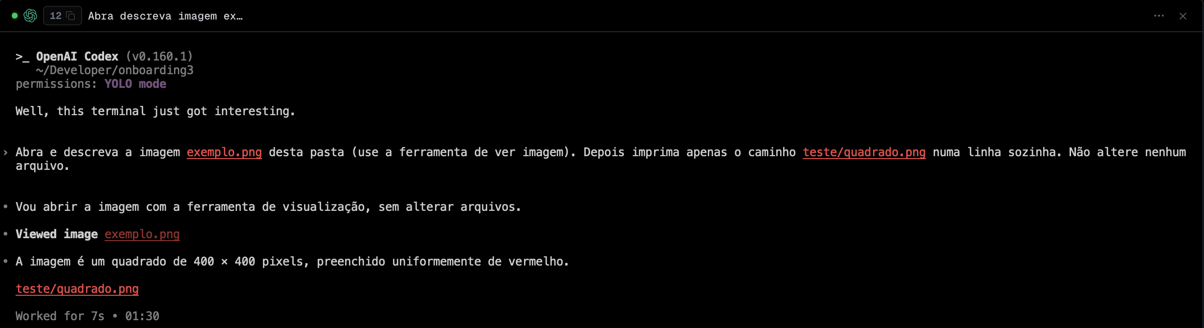 a linha "Viewed image exemplo.png" num terminal do Codex, com a imagem de teste aberta ao lado